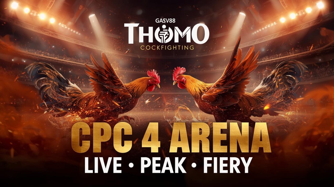 Đá Gà Trực Tiếp Hôm Nay – Không Khí Sôi Động Tại Bồ Gà Thomo!